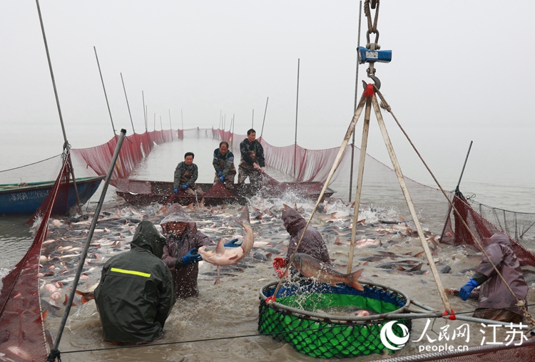 蜈蚣湖冬捕現場。史道智攝